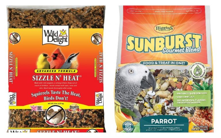8 Nutritious And Enjoyable Bird Food Options For Your Feathered Pet